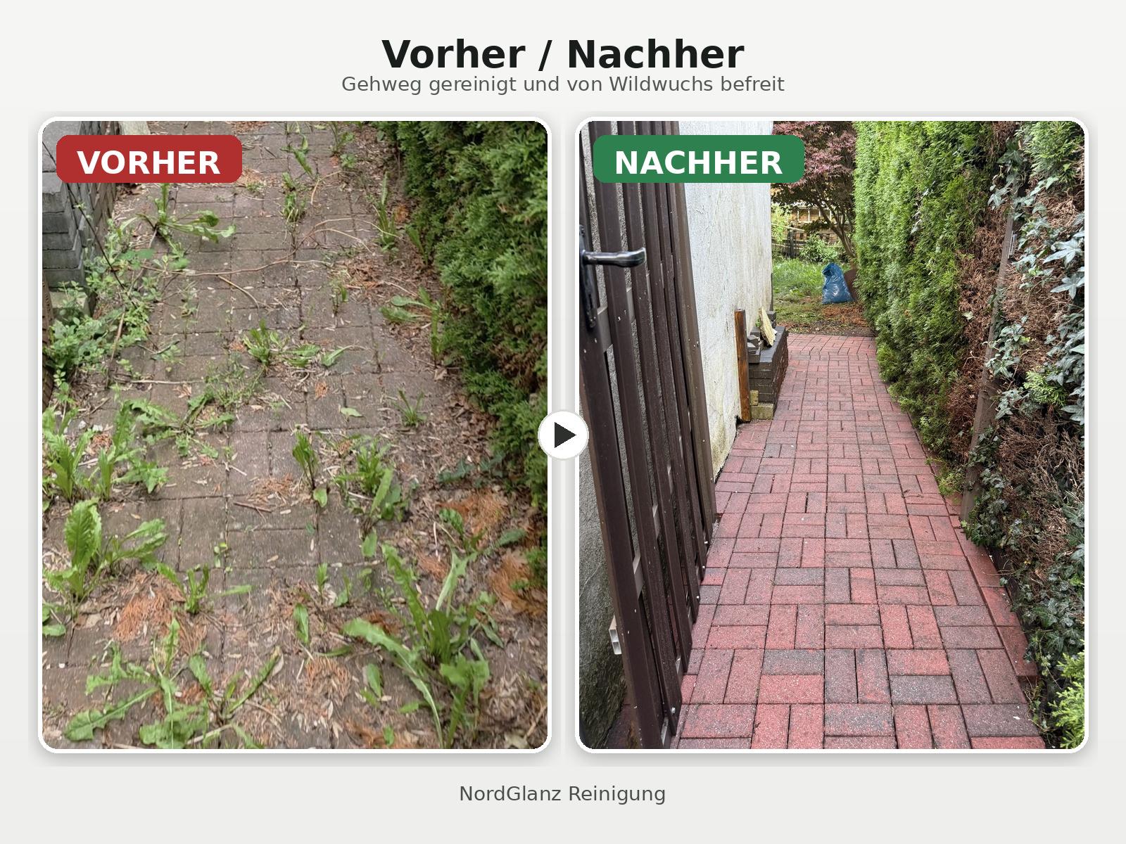 Pflasterreinigung